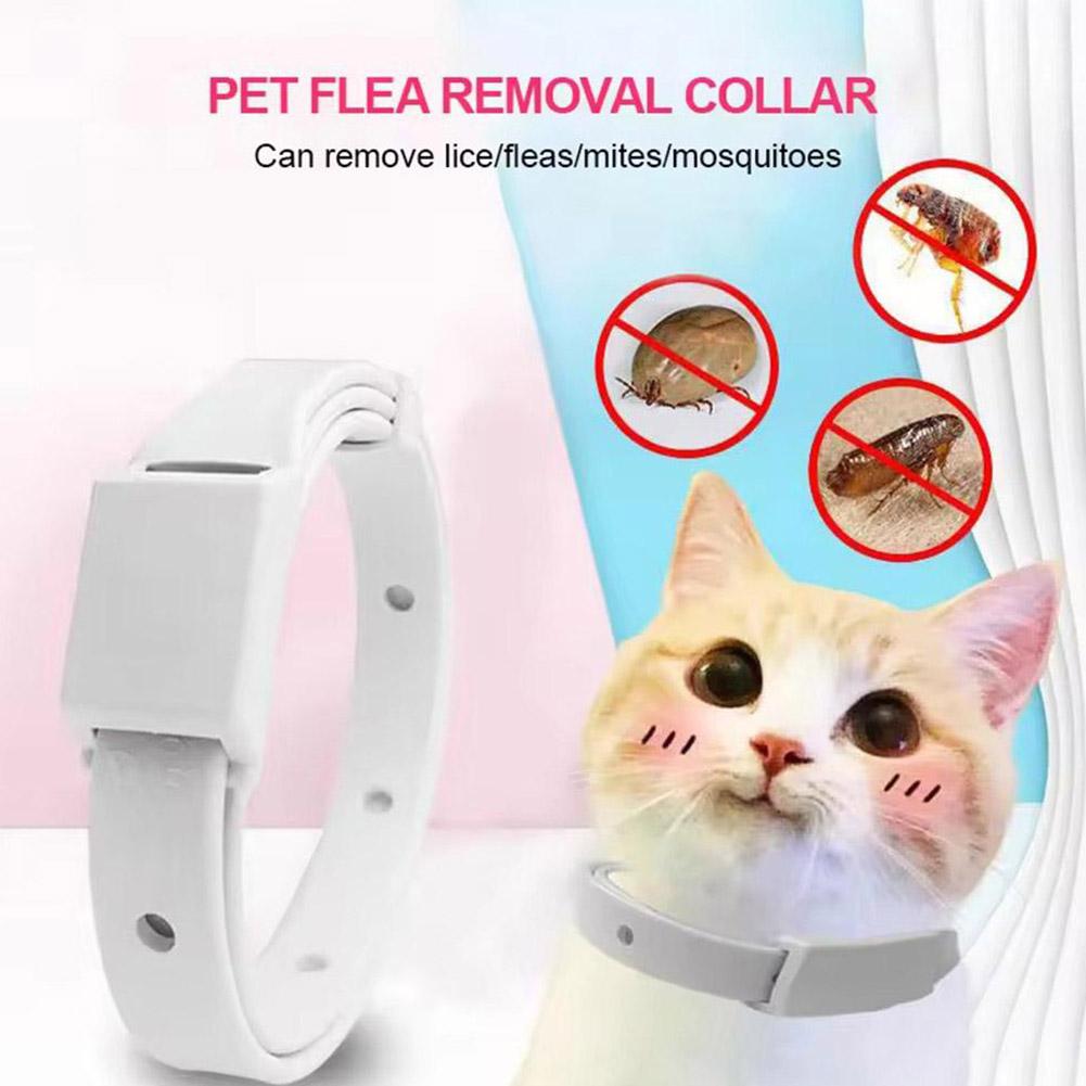 Retractable Pet Products Flea  - Dog Muzzle Silicone 리뷰 및 가격