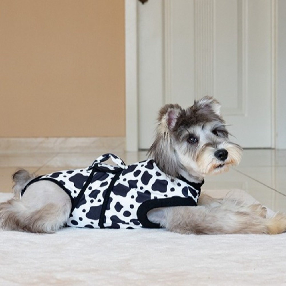 Breathable Dog Recovery Suit H - Dog Anxiety Vest 리뷰 및 가격