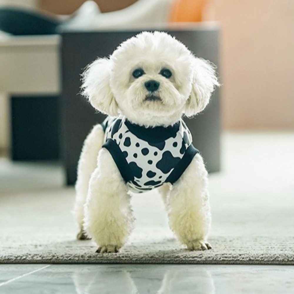 Breathable Dog Recovery Suit H - Dog Anxiety Vest 리뷰 및 가격