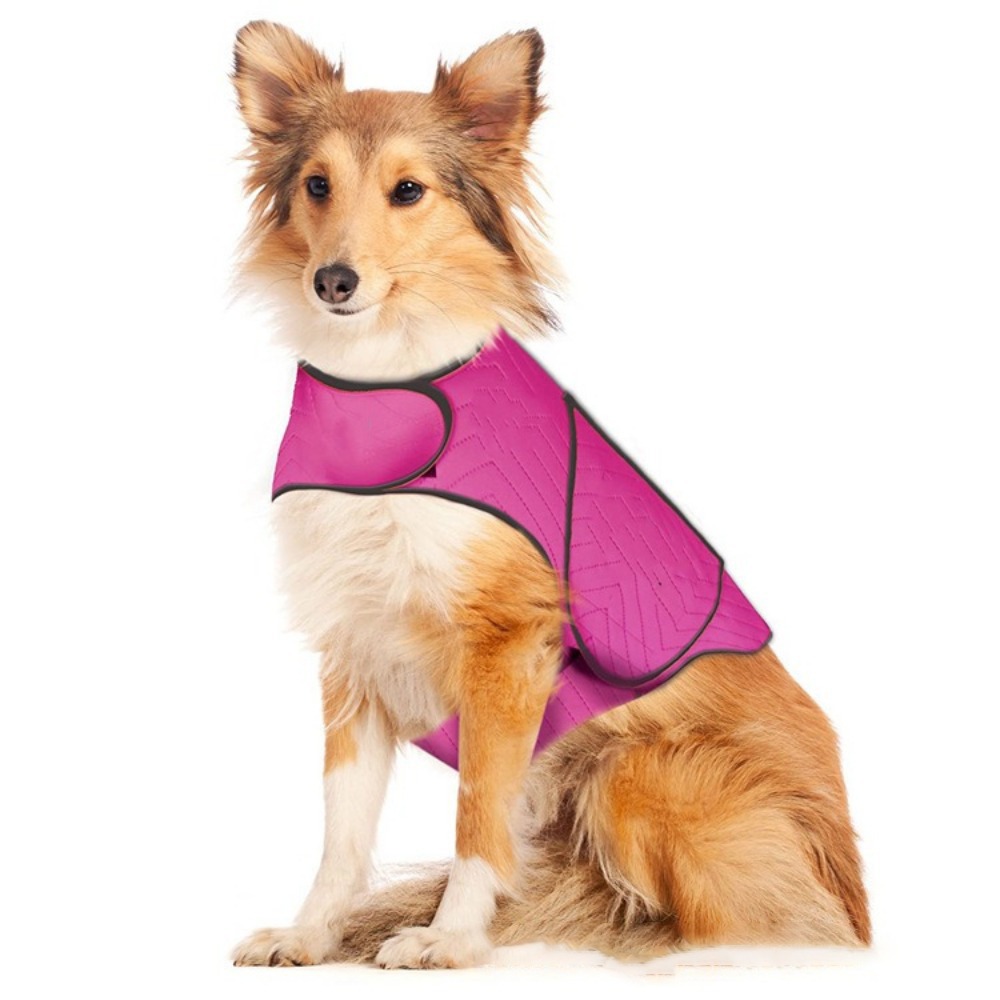 Practical Elastic Dog Anxiety  - Dog Anxiety Vest 리뷰 및 가격