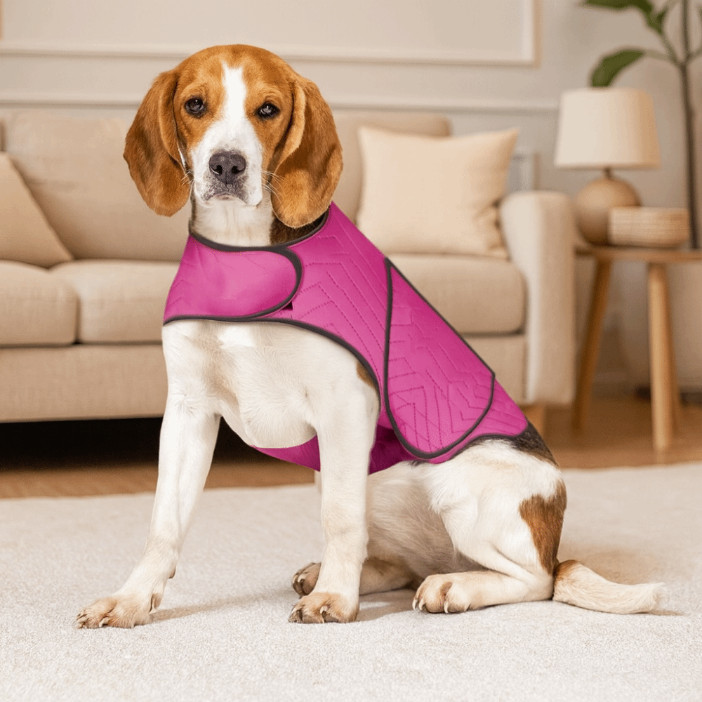 Practical Elastic Dog Anxiety  - Dog Anxiety Vest 리뷰 및 가격