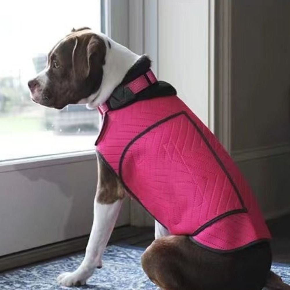 Practical Elastic Dog Anxiety  - Dog Anxiety Vest 리뷰 및 가격