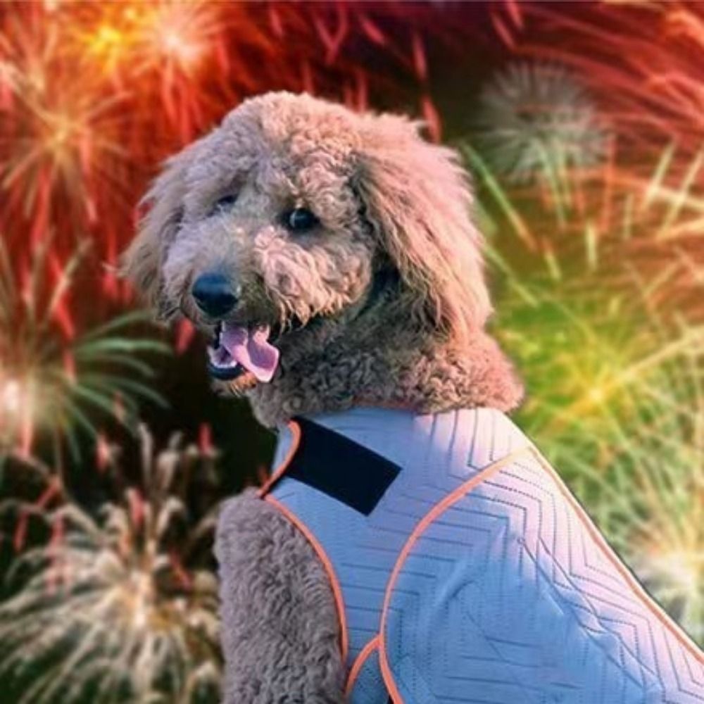 Practical Elastic Dog Anxiety  - Dog Anxiety Vest 리뷰 및 가격