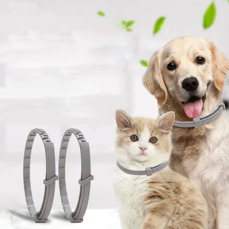 Dog Collars Puppy Dog Cats 72c - Dog Muzzle Silicone 리뷰 및 가격