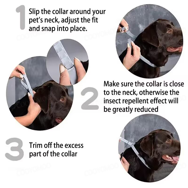 Dog Collars Puppy Dog Cats 72c - Dog Muzzle Silicone 리뷰 및 가격