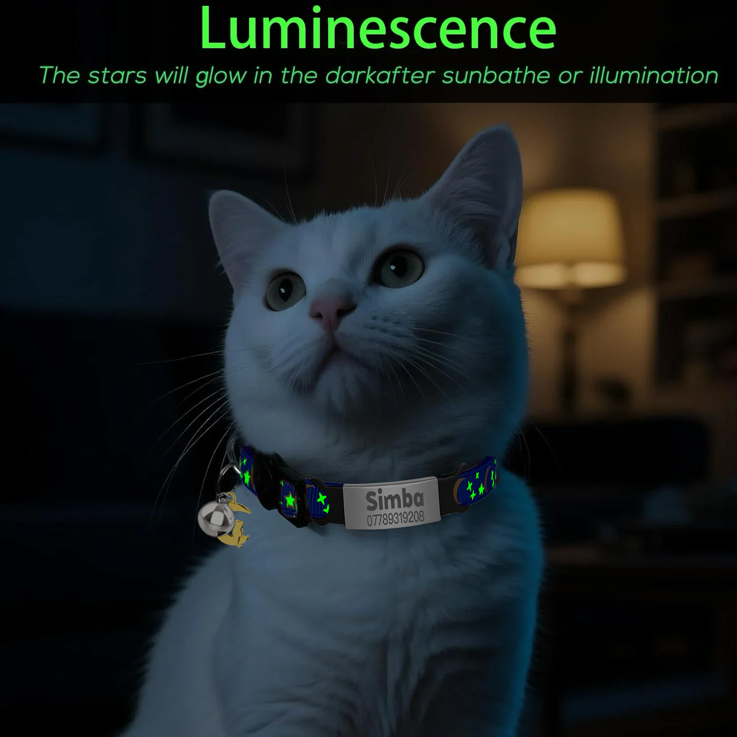 Customized Cute Glow Cat Colla - Pet Supplies Wholesale 리뷰 및 가격