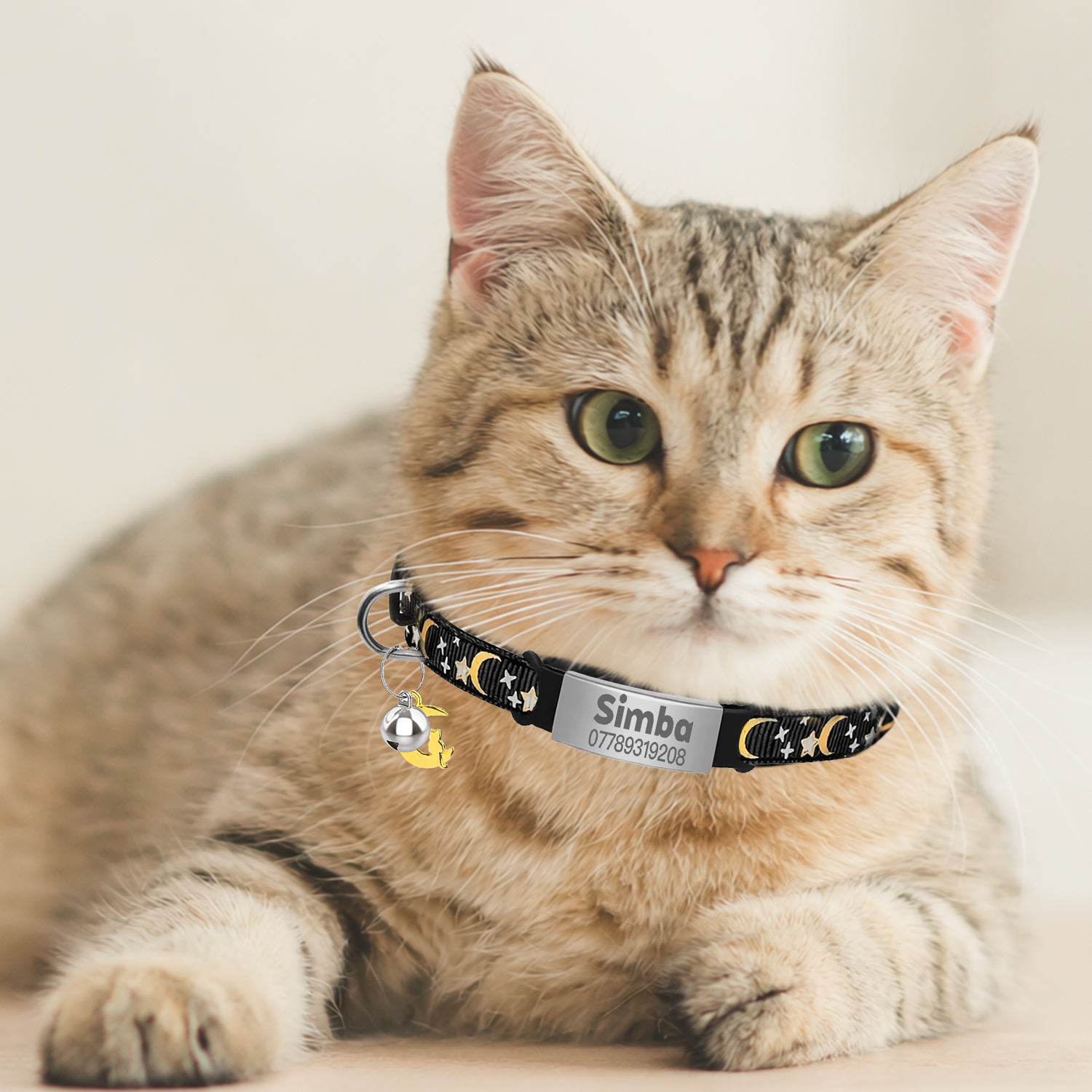 Customized Cute Glow Cat Colla - Pet Supplies Wholesale 리뷰 및 가격